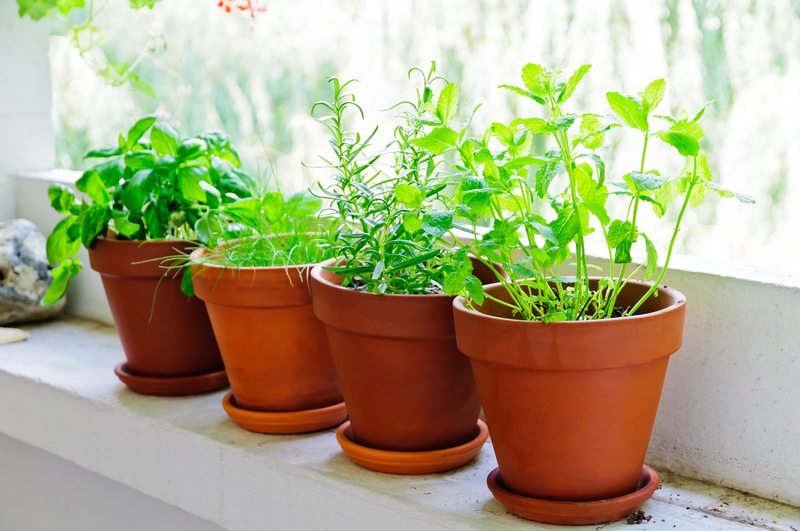 Garden yard